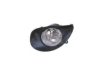 ALKAR 2906268 Fog Light